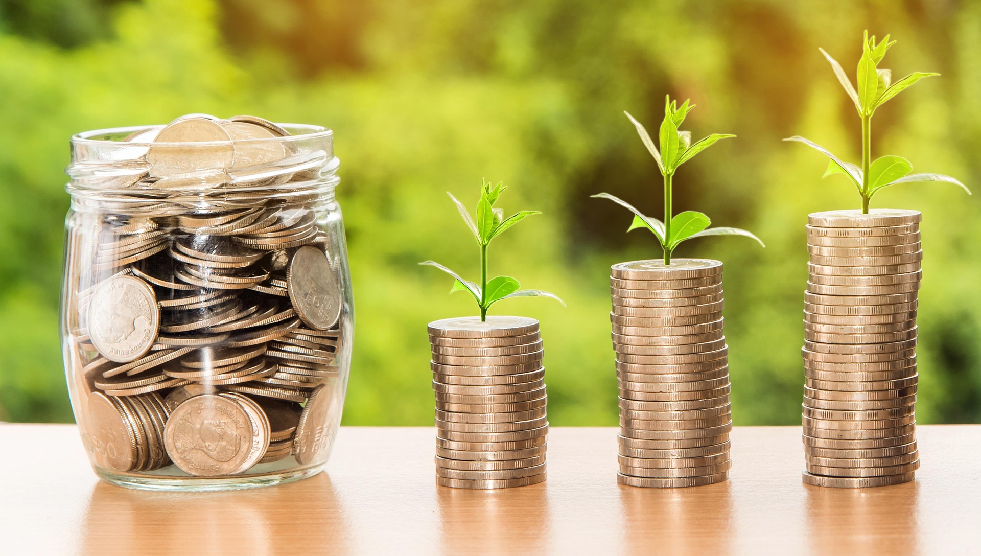 Best Investment Options in India for Beginners (2025)